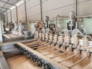 Trương Gia Thiện