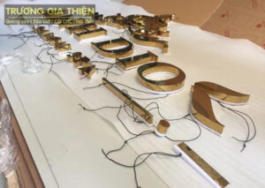 Trương Gia Thiện