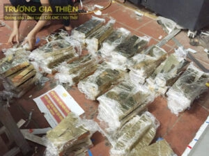 Trương Gia Thiện